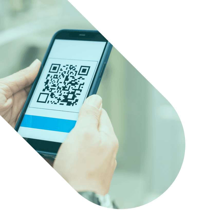 Scan a Lucid code on a Safe Bet product to earn rewards